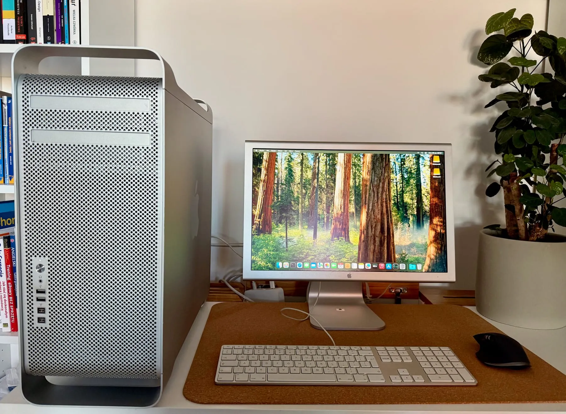 Apple Mac Pro 4,1 — desk setup