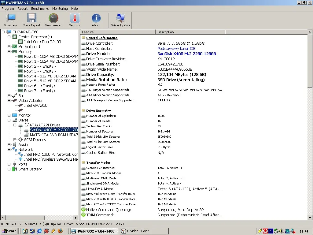 IBM ThinkPad T60 — HWiNFO HDD